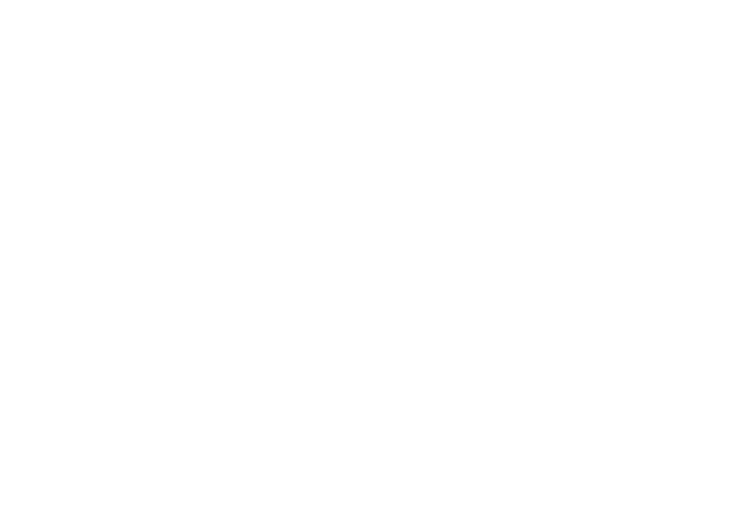 ORA Logo